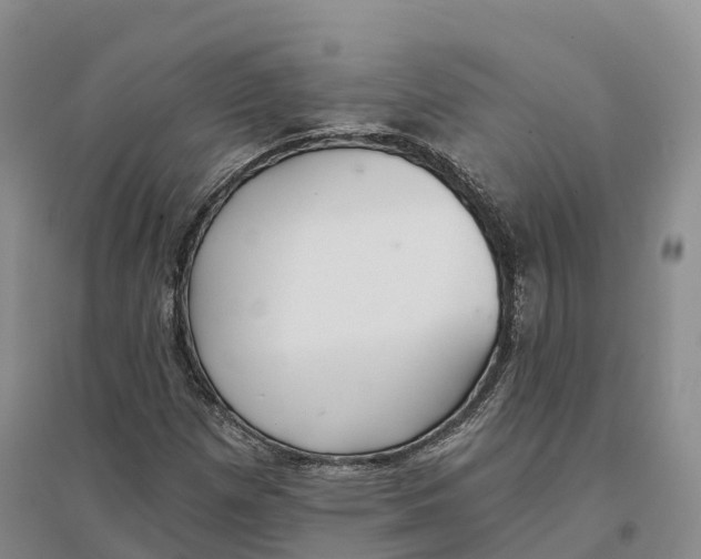 X0000096691257200802261532