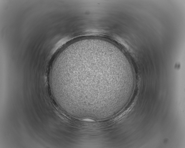 X0000096691259200802261532