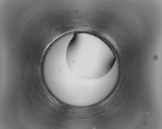 X0000096691260200802261531