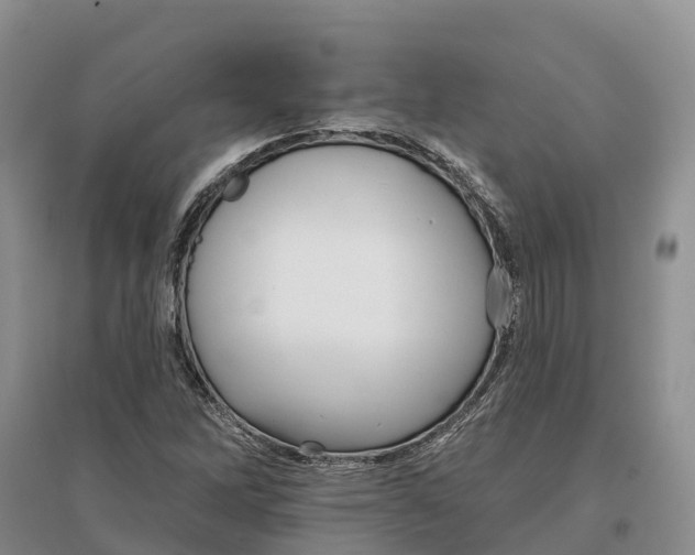 X0000096691262200802261531