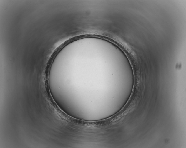 X0000096691264200802261531