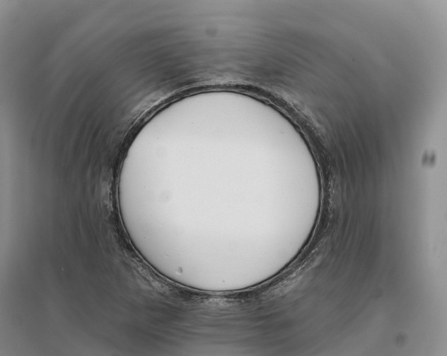 X0000096691265200802261531