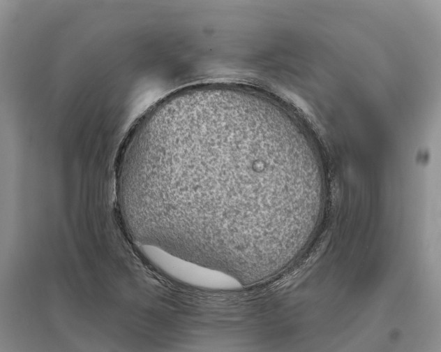 X0000096691267200802261531