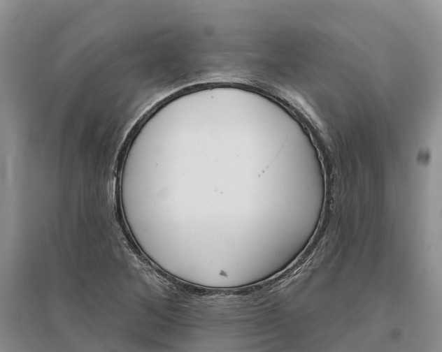 X0000096691268200802261531