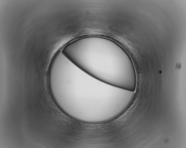 X0000096691269200802261531