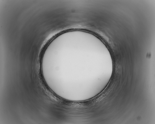 X0000096691270200802261531