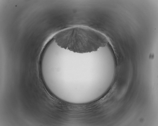 X0000096691271200802261531