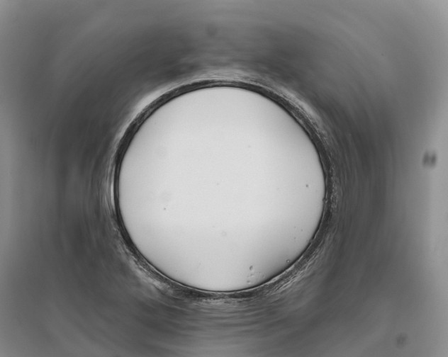 X0000096691272200802261531