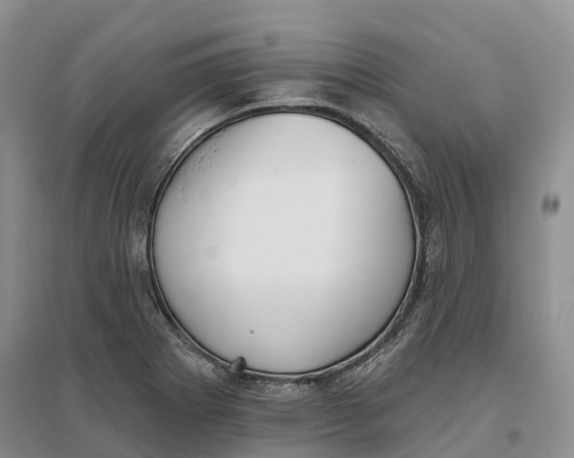 X0000096691273200802261531