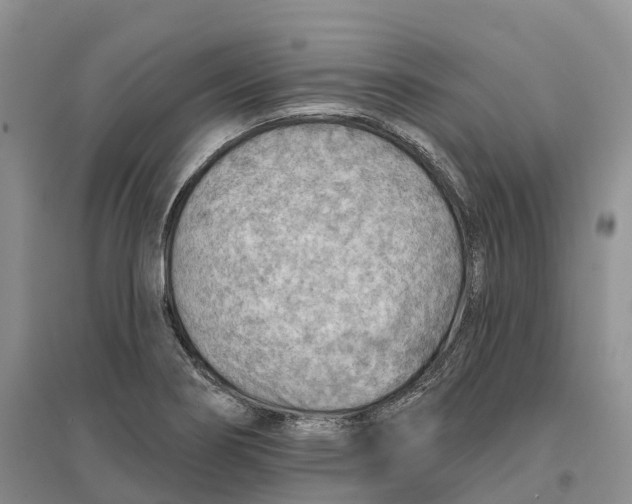 X0000096691274200802261531