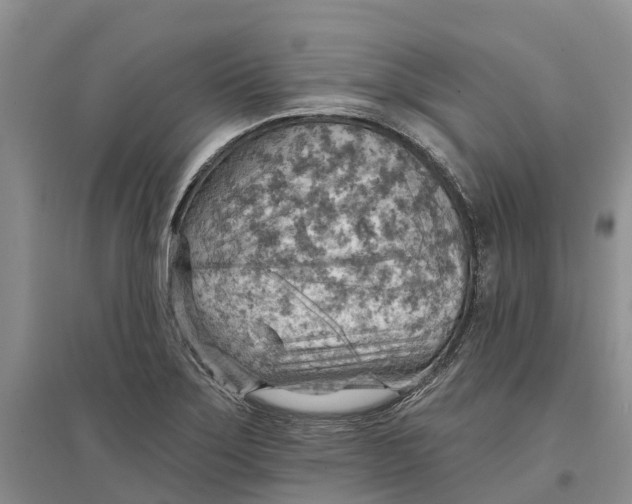 X0000096691275200802261531