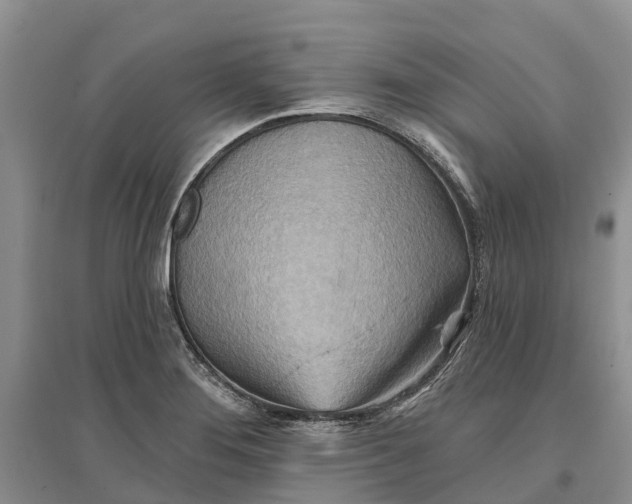 X0000096691276200802261531