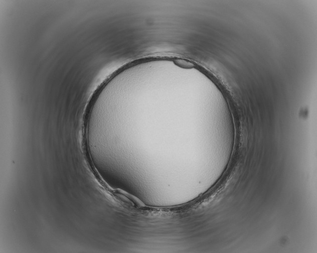 X0000096691277200802261531