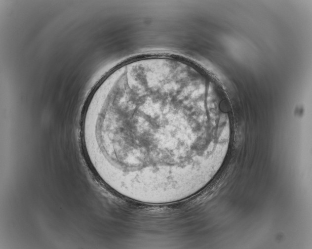 X0000096691279200802261531