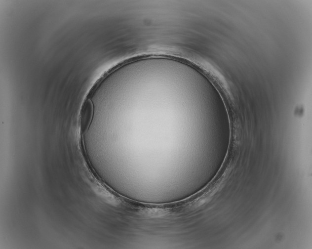 X0000096691280200802261531