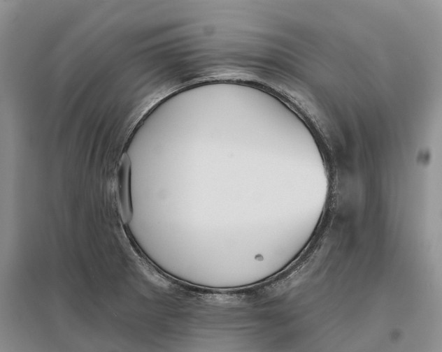 X0000096691281200802261531