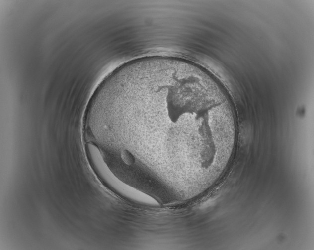 X0000096691283200802261531