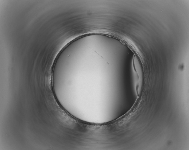 X0000096691284200802261531