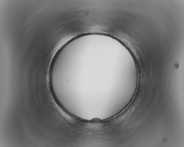 X0000096691285200802261531