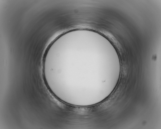 X0000096691286200802261531