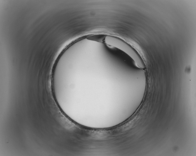 X0000096691288200802261531