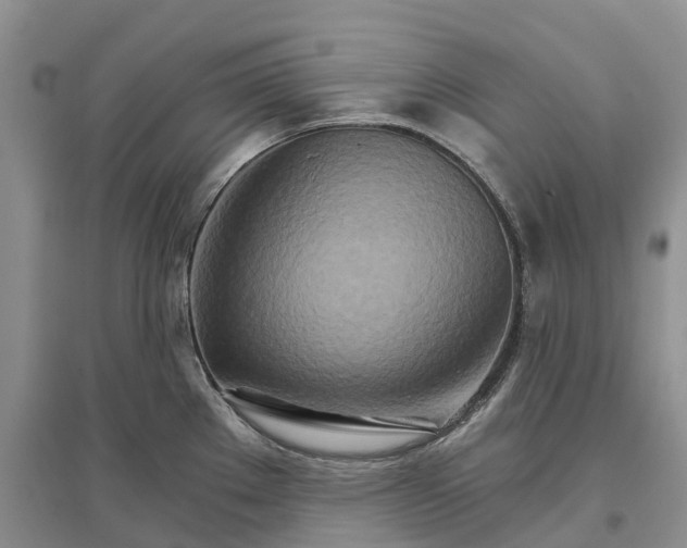 X0000096691289200802261531