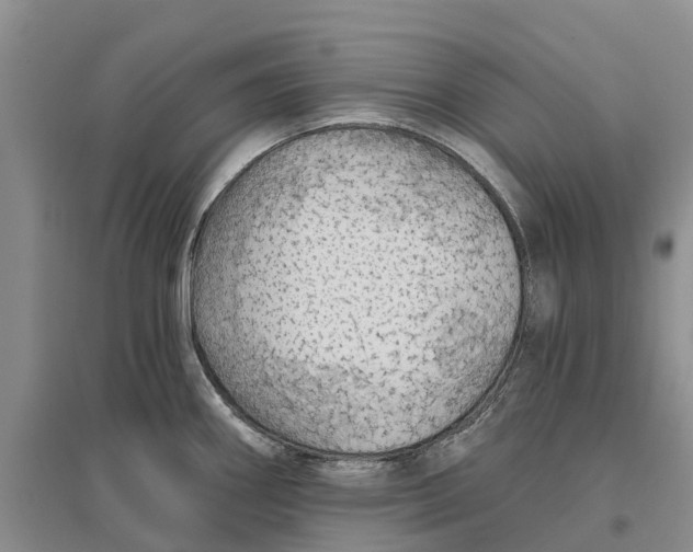 X0000096691290200802261531