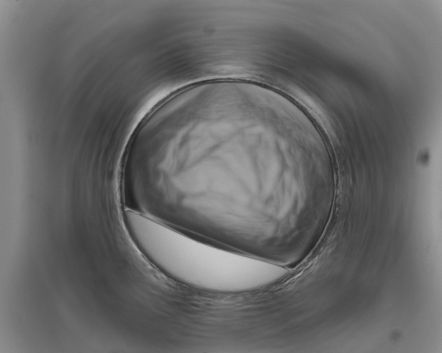 X0000096691291200802261531