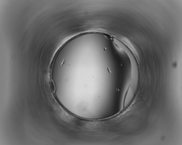 X0000096691292200802261531