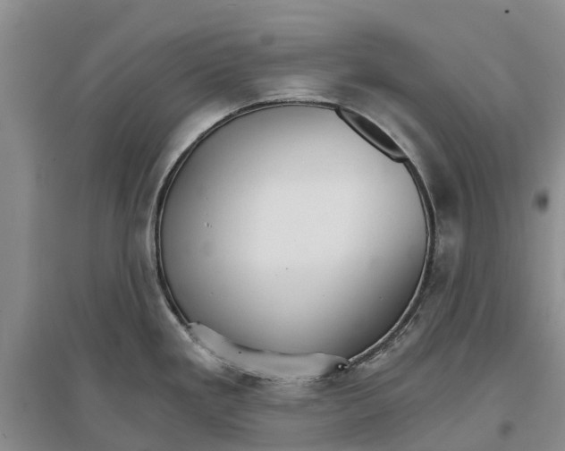 X0000096691293200802261531