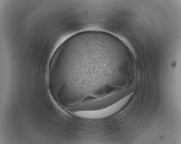 X0000096691295200802261531