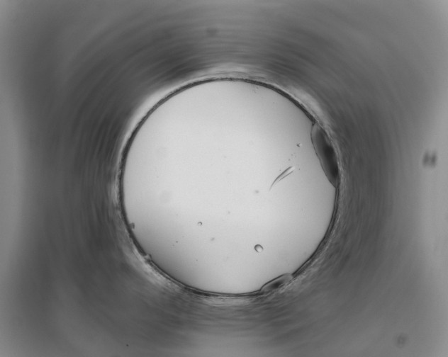 X0000096691296200802261531