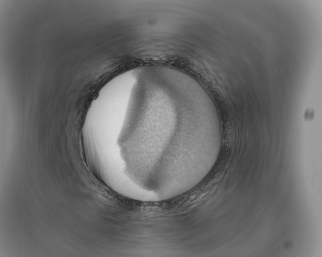 X0000096691297200802261530