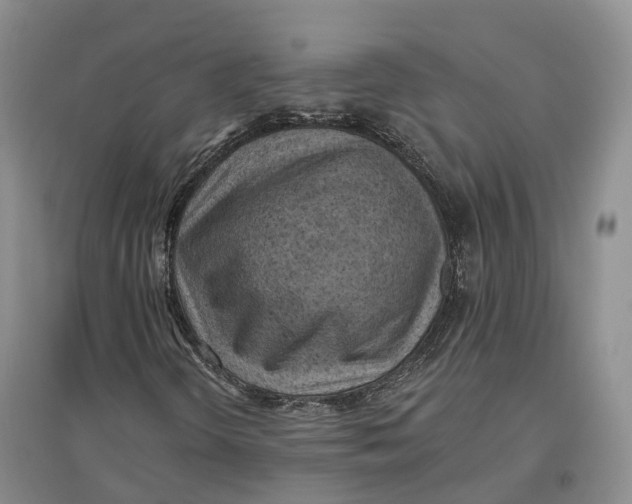 X0000096691298200802261530