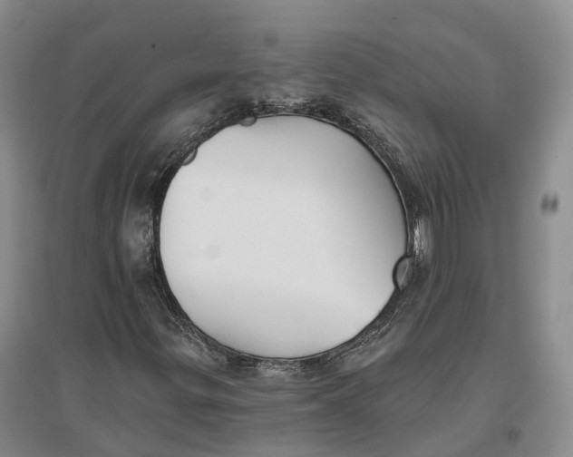 X0000096691299200802261530