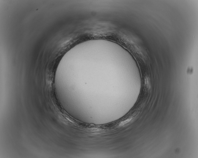 X0000096691300200802261530