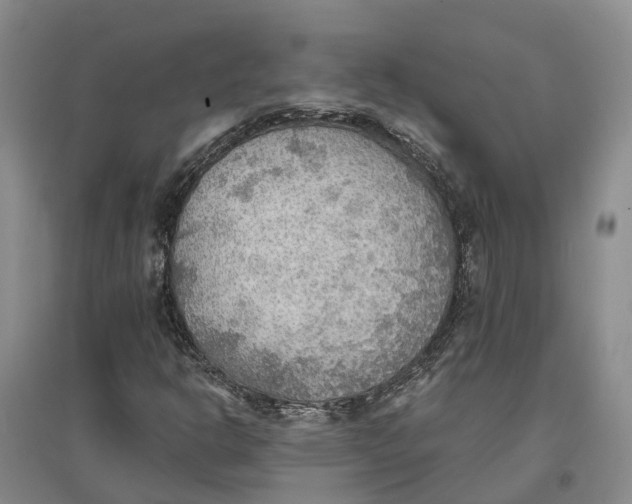 X0000096691302200802261530