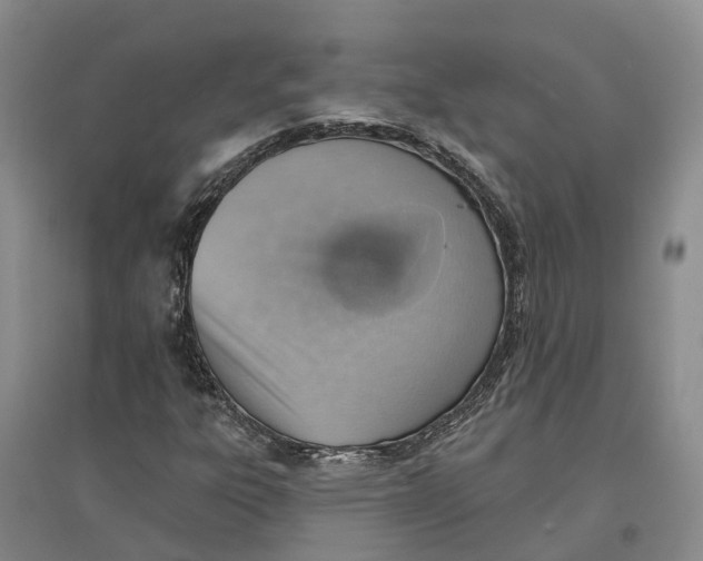 X0000096691303200802261530