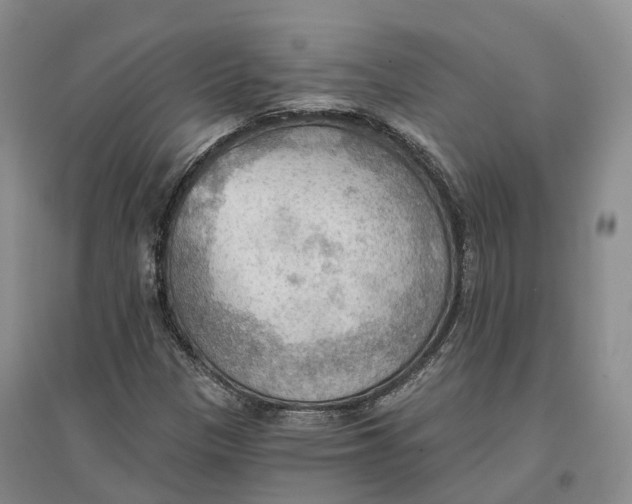 X0000096691305200802261530