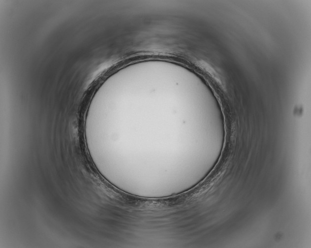 X0000096691307200802261530