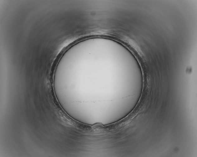 X0000096691308200802261530