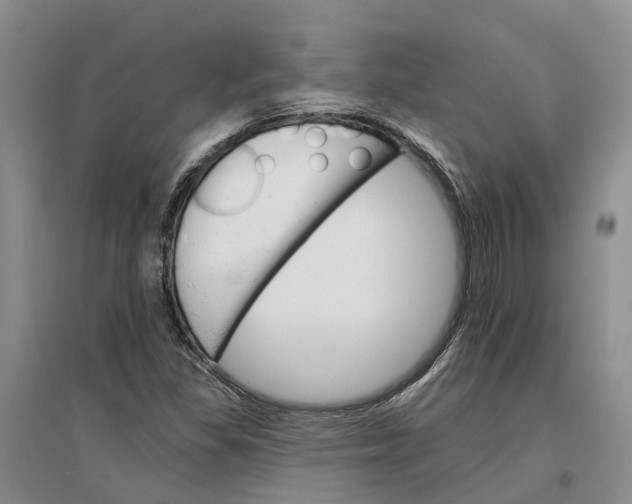 X0000096691309200802261530