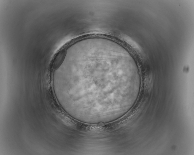 X0000096691310200802261530