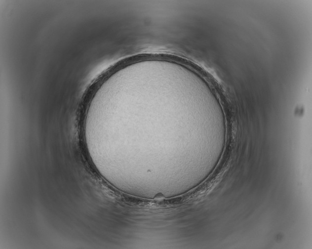 X0000096691311200802261530