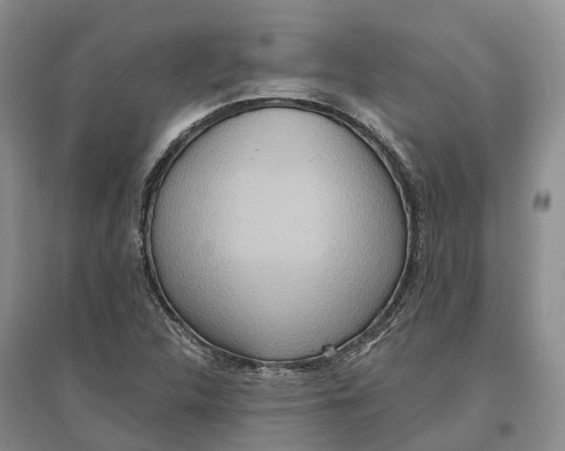 X0000096691312200802261530