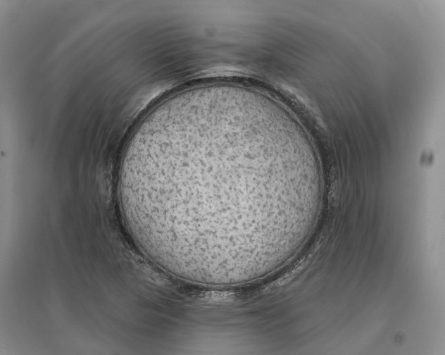 X0000096691313200802261530