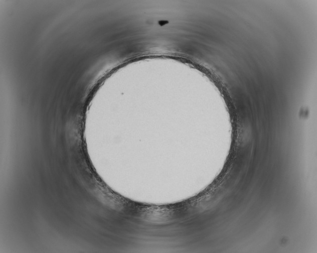 X0000096691314200802261530