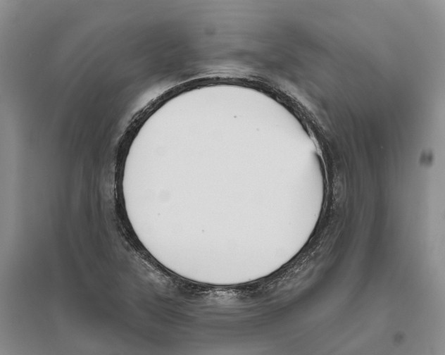 X0000096691315200802261531