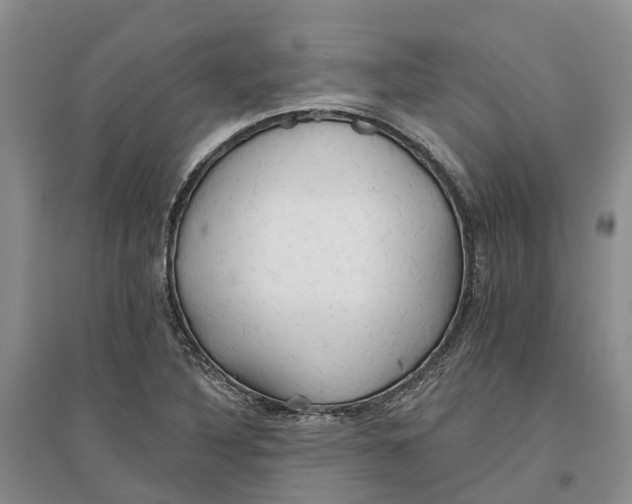 X0000096691316200802261531