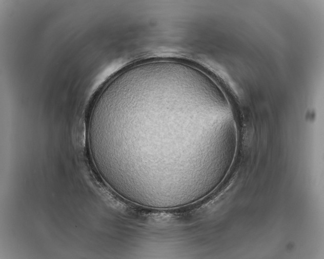 X0000096691317200802261531